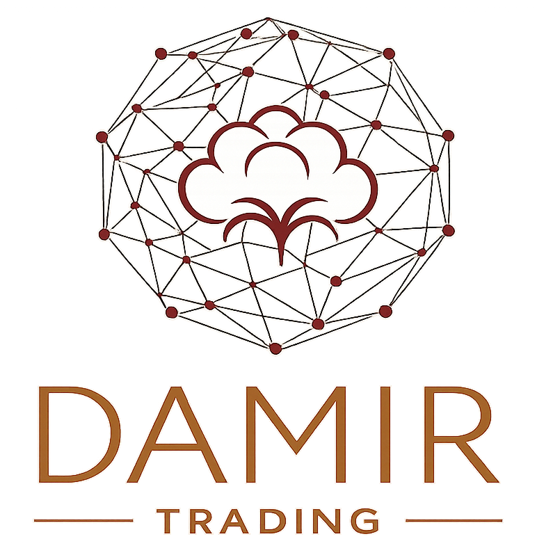 Logo Damir Trading